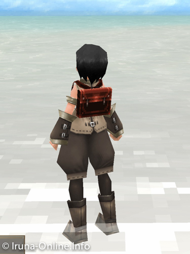 item_image_Wisdom Bag (Strengthened 1)